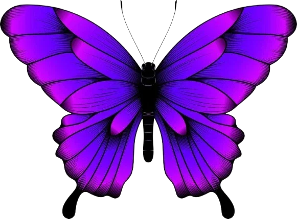 Mariposa Fibromialgia
